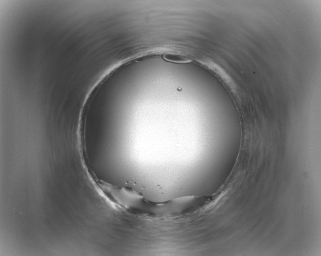 X0000070170902200606162053