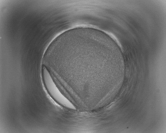 X0000070170903200606162053