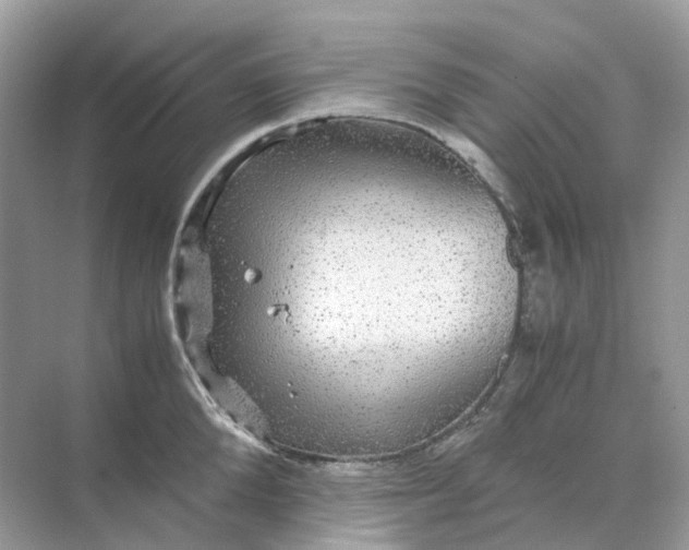 X0000070170904200606162053