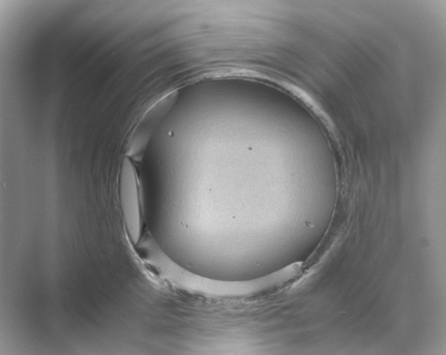 X0000070170905200606162053