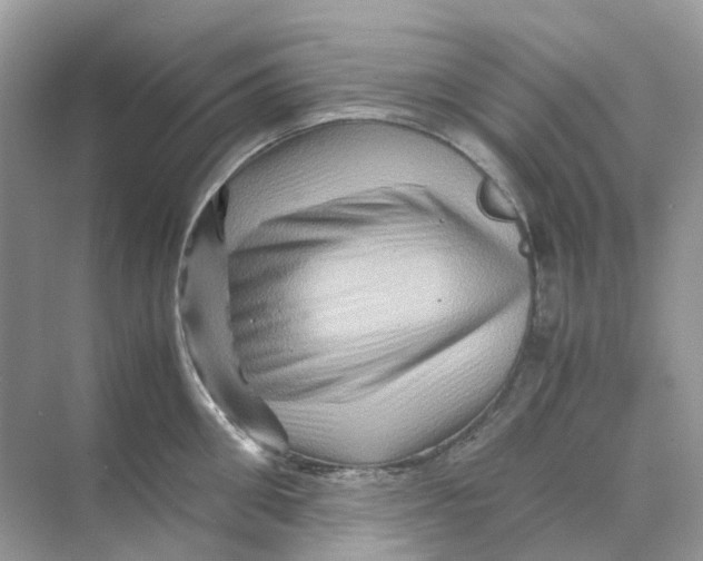 X0000070170906200606162053