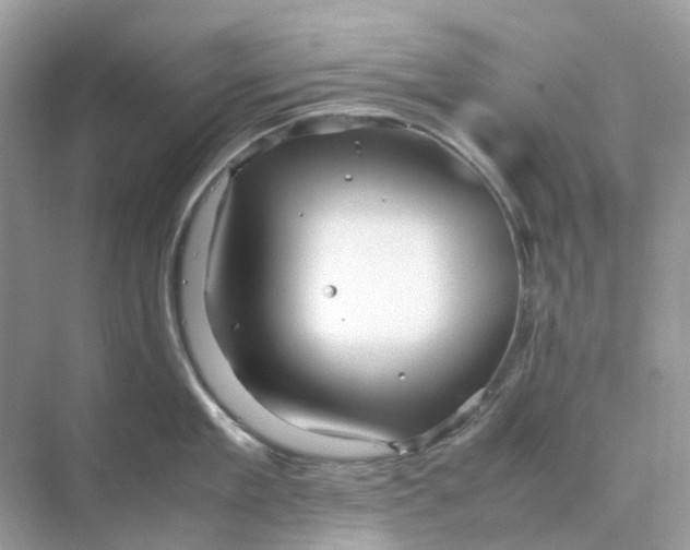 X0000070170909200606162053