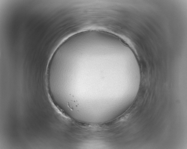 X0000070170911200606162053