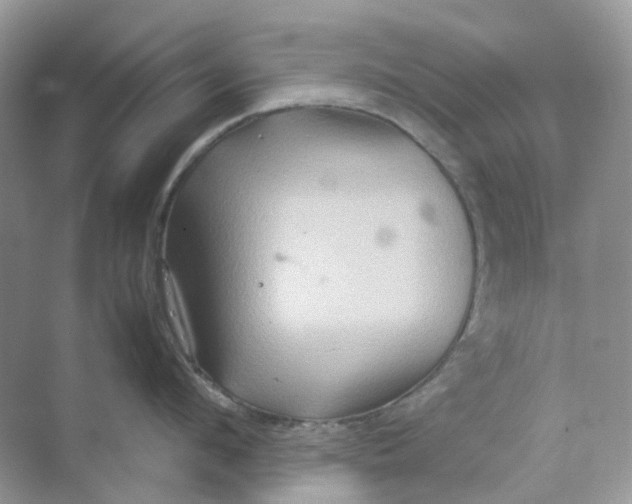 X0000070170912200606162052