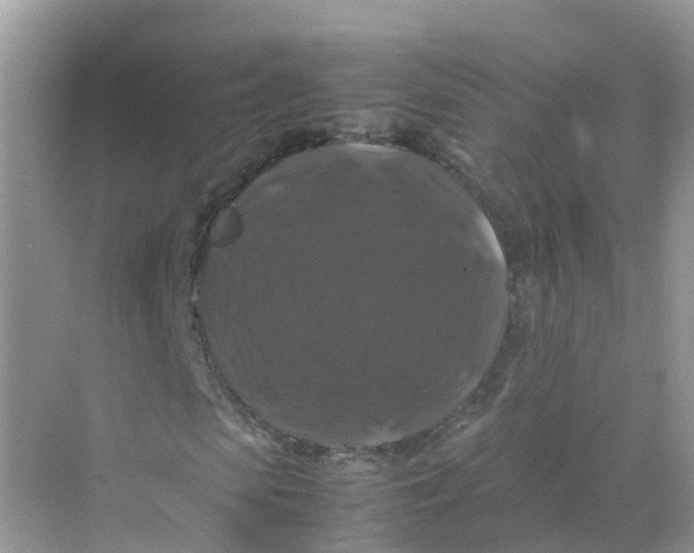 X0000070170913200606162052