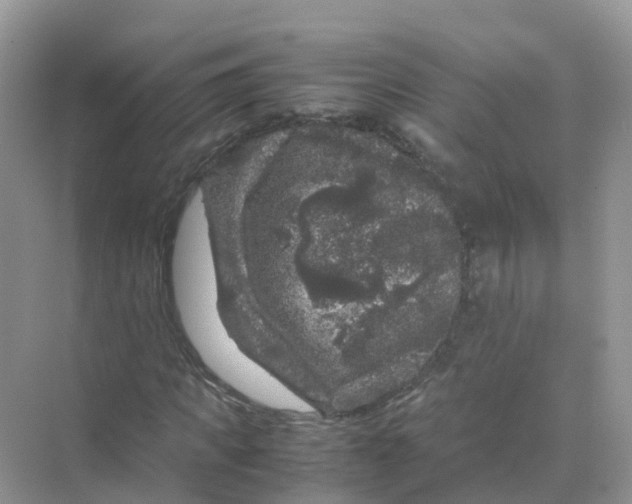 X0000070170917200606162052