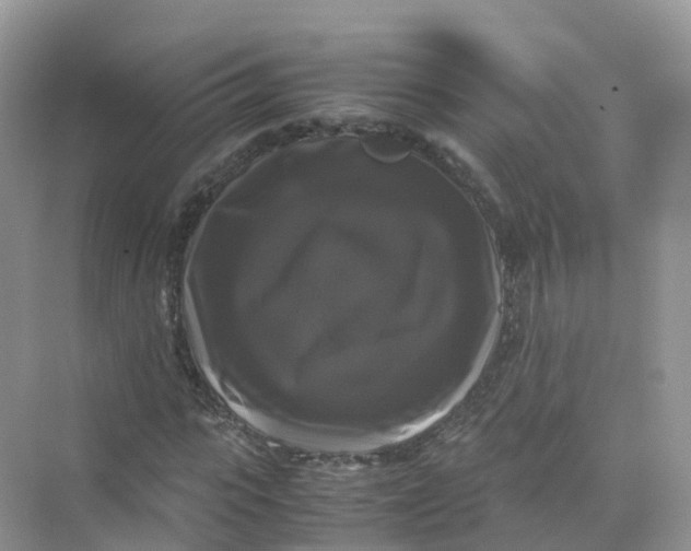 X0000070170919200606162052