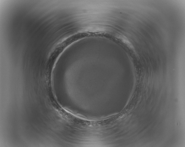 X0000070170920200606162052