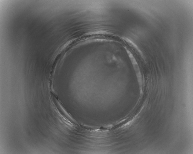 X0000070170921200606162052