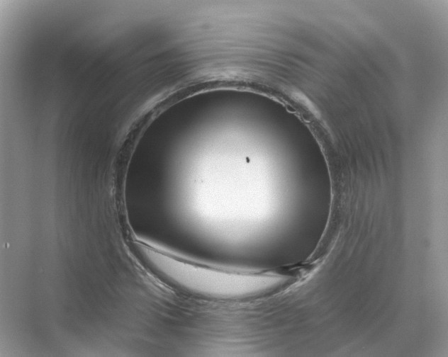 X0000070170922200606162052