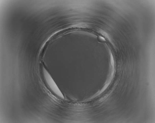 X0000070170923200606162052