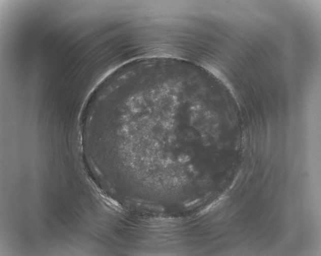 X0000070170925200606162052