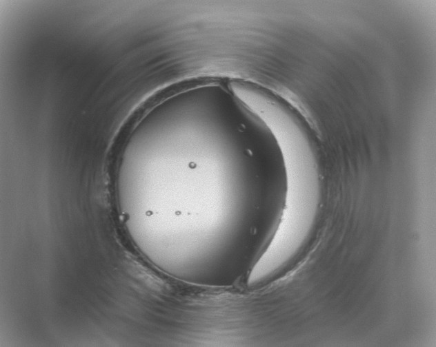 X0000070170926200606162052