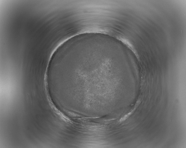 X0000070170928200606162052