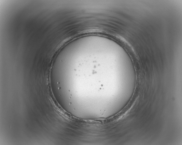 X0000070170929200606162052