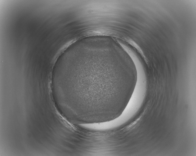 X0000070170930200606162052