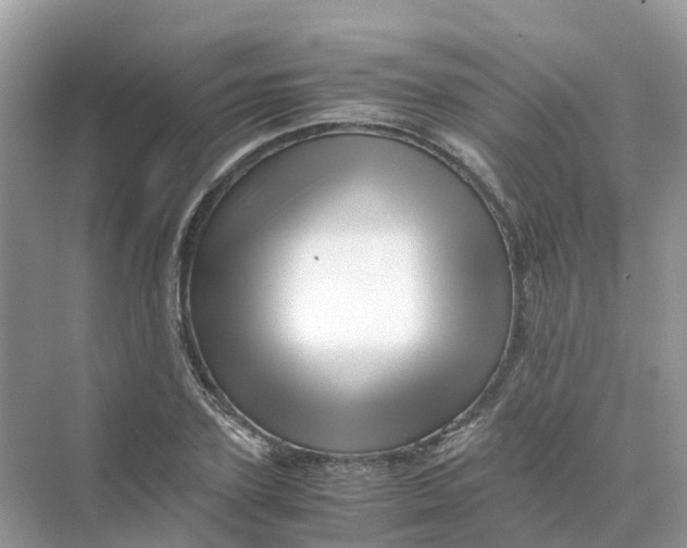 X0000070170931200606162052