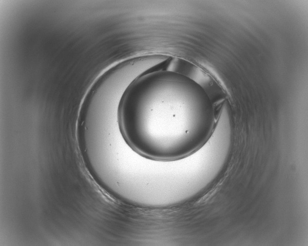 X0000070170932200606162052