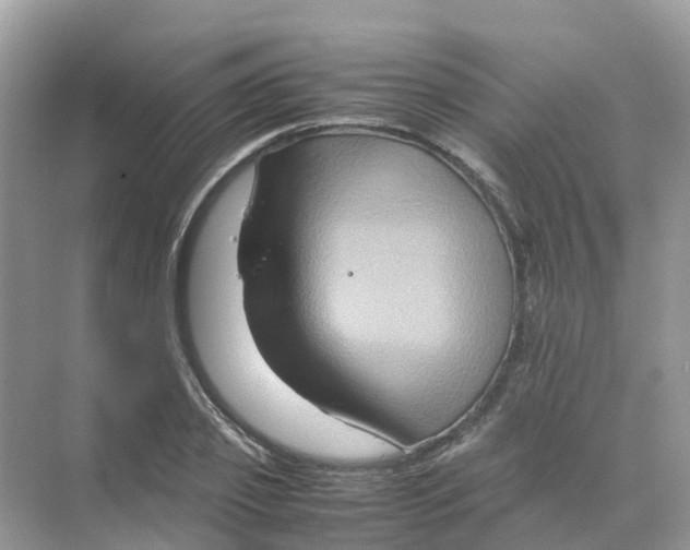 X0000070170933200606162052