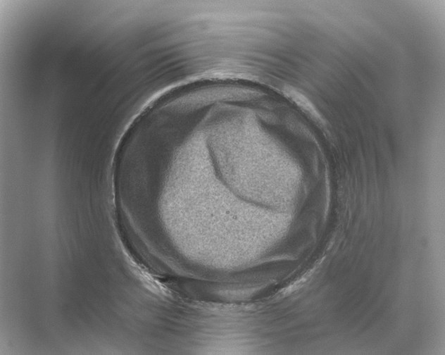 X0000070170934200606162052