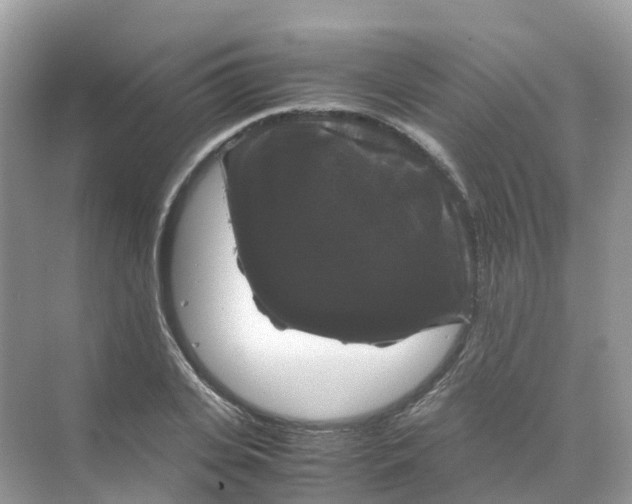 X0000070170935200606162052