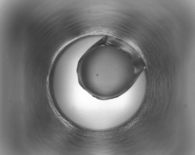 X0000070170936200606162052