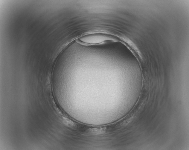 X0000070170937200606162052