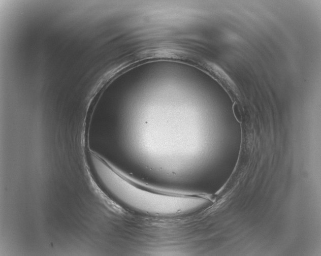 X0000070170938200606162052