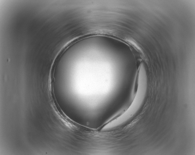 X0000070170940200606162052