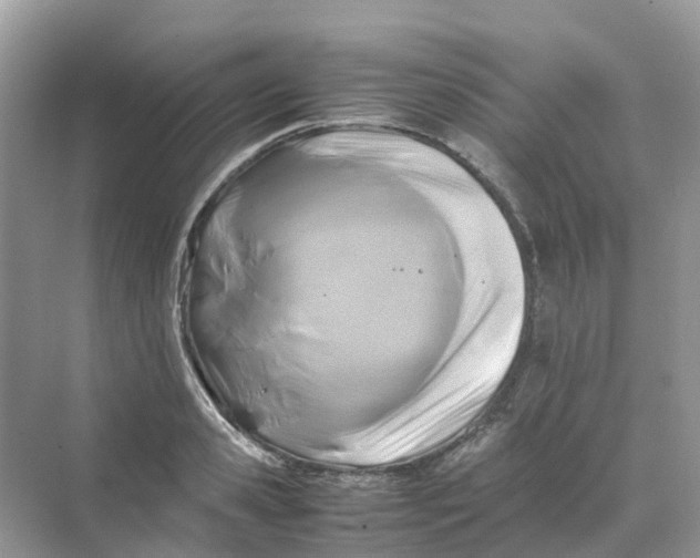 X0000070170941200606162052