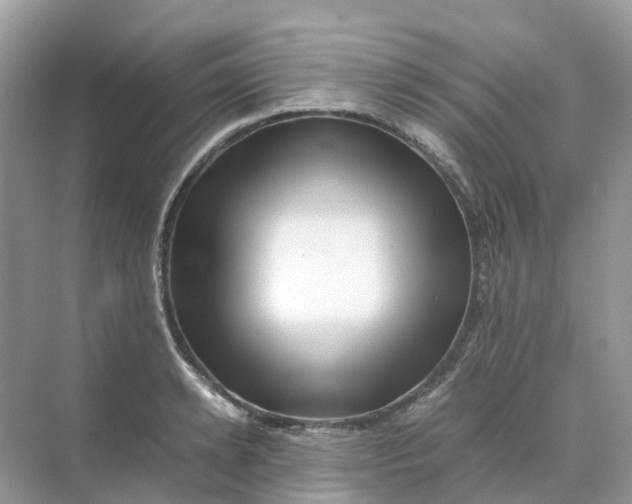 X0000070170942200606162052