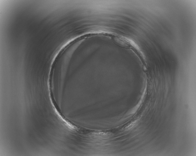 X0000070170943200606162052