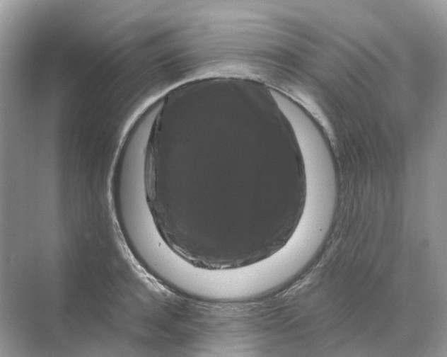 X0000070170944200606162052