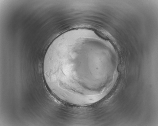 X0000070170945200606162052