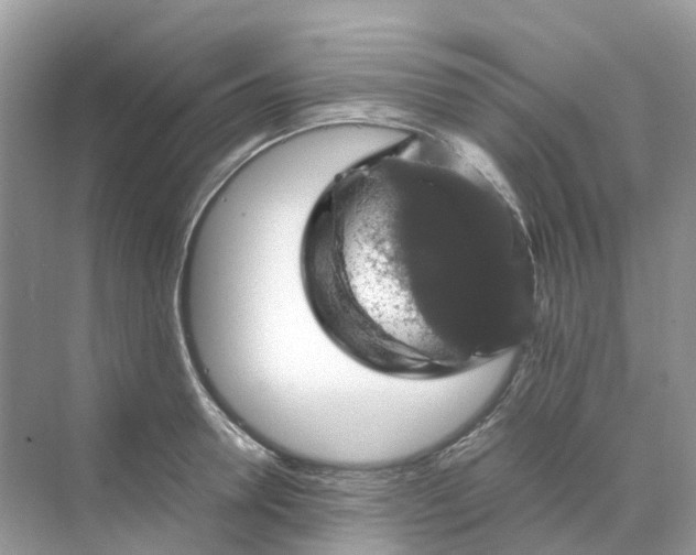 X0000070170946200606162052