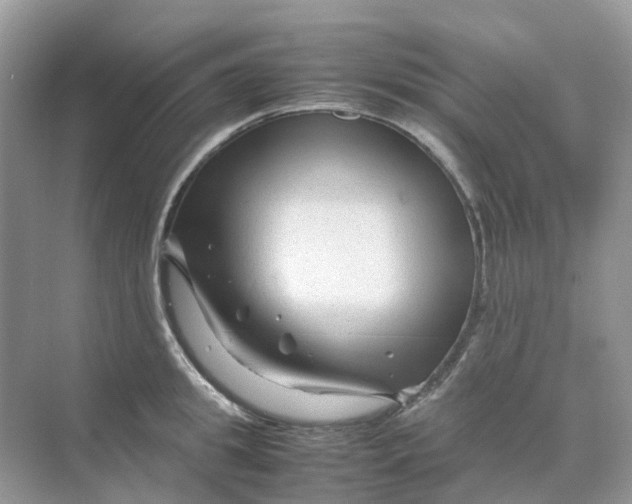 X0000070170949200606162052