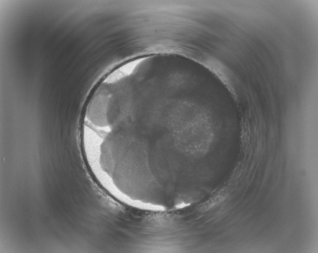 X0000070170950200606162052