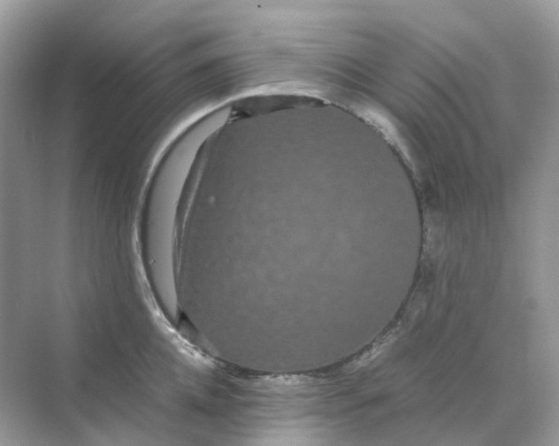 X0000070170952200606162052