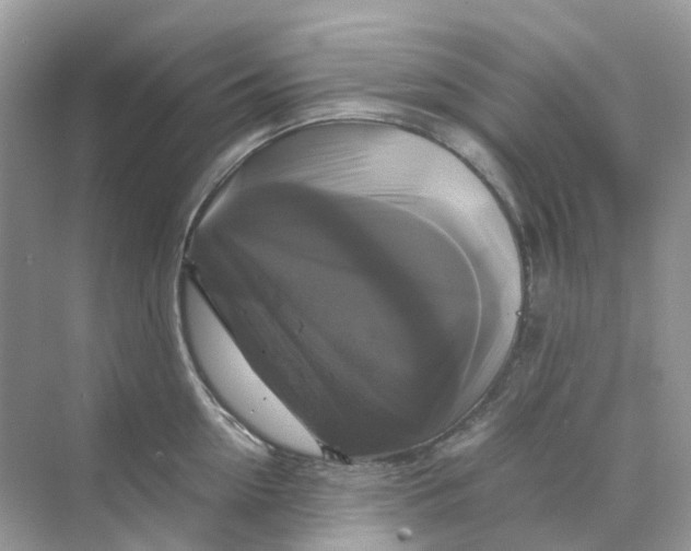 X0000070170954200606162052