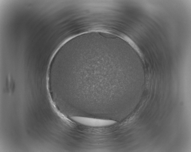 X0000070170955200606162052