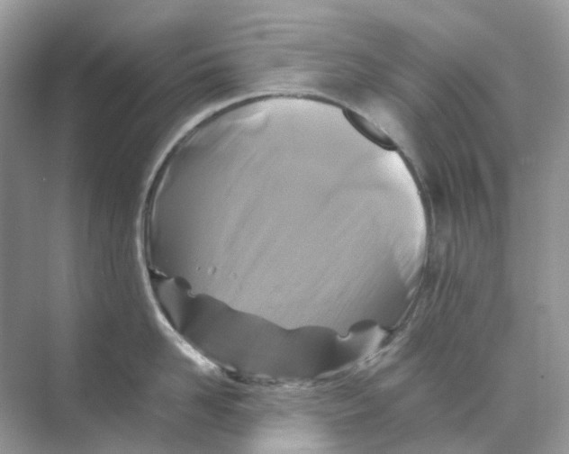 X0000070170958200606162052