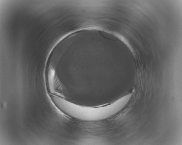 X0000070170959200606162052