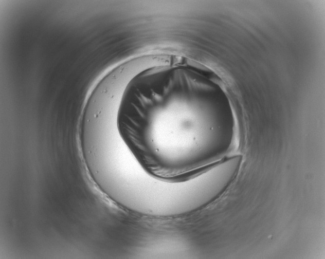 X0000070170960200606162052