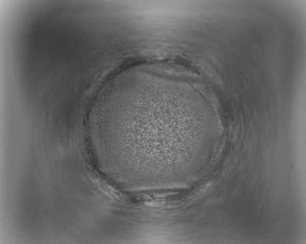 X0000070170961200606162052