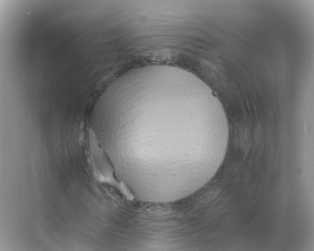 X0000070170962200606162052