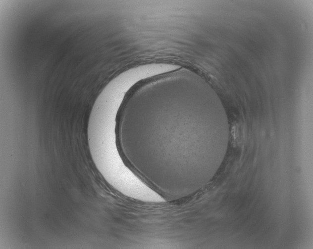 X0000070170963200606162052