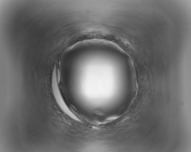 X0000070170965200606162052