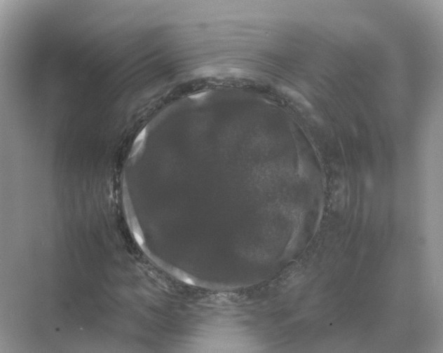 X0000070170966200606162052