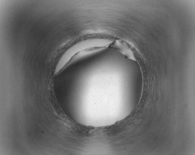 X0000070170967200606162052