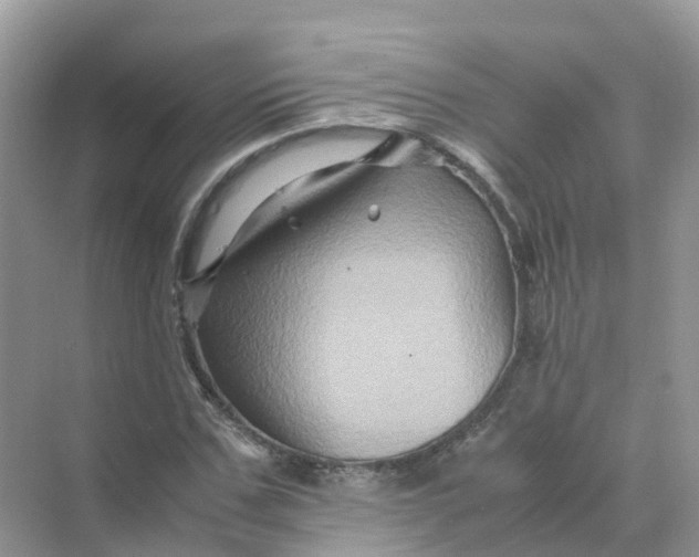 X0000070170971200606162052